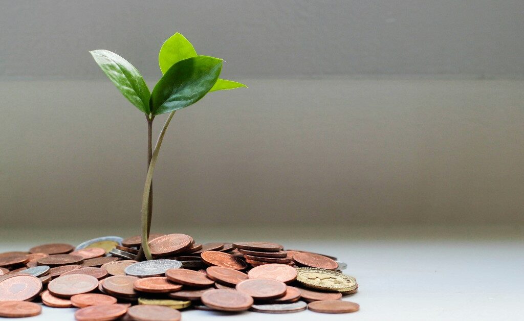 El Capital Social de una Empresa