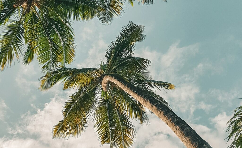 Cómo solicitar tus vacaciones fiscales para este verano