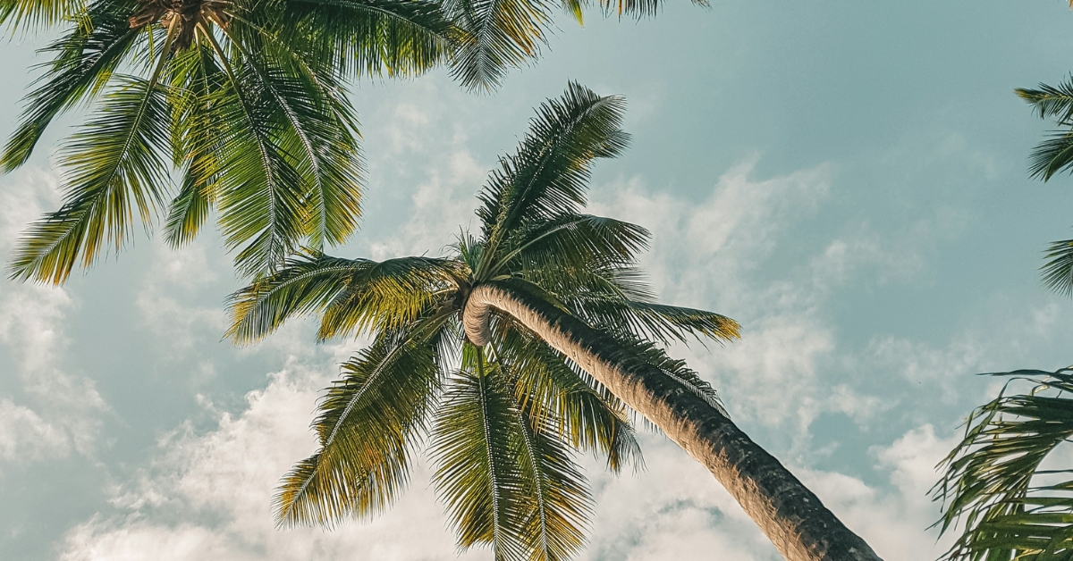 Cómo solicitar tus vacaciones fiscales para este verano