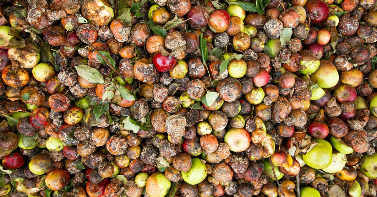 Ley contra el Desperdicio de Alimentos